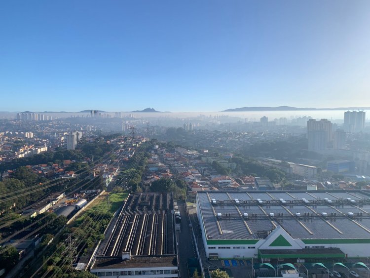 Neblinas e Geadas: São paulo mais um dia com temperaturas  mínima de 7 graus